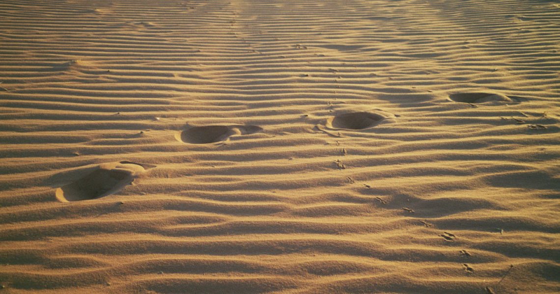 The forgotten track
